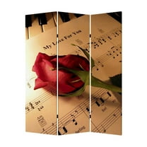 Contemporary Lightweight 3 Panel Music Screen Room Divider With Two Different Finishes
