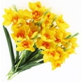 thumbnail image 3 of 10 Pcs Artificial Daffodils Flowers Narcissus Faux Spring Flowers Fake Silk Daffodil Flower Arrangement for Indoor Outdoor Home Wedding Decor (10, Yellow), 3 of 5