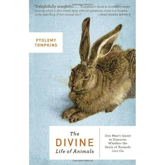 The Divine Life of Animals : One Man's Quest to Discover Whether the Souls of Animals Live On 9780307451330 Used / Pre-owned