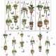thumbnail image 1 of Juego de 3 calcomanías para macetas, muebles y manualidades (6x12 pulgadas). Adhesivos para cestas colgantes con diseño de libélula y mariposa., 1 of 9