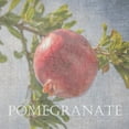 thumbnail image 2 of Lewis, Sheldon 12x12 White Modern Wood Framed Museum Art Print Titled - Pomegranate, 2 of 4