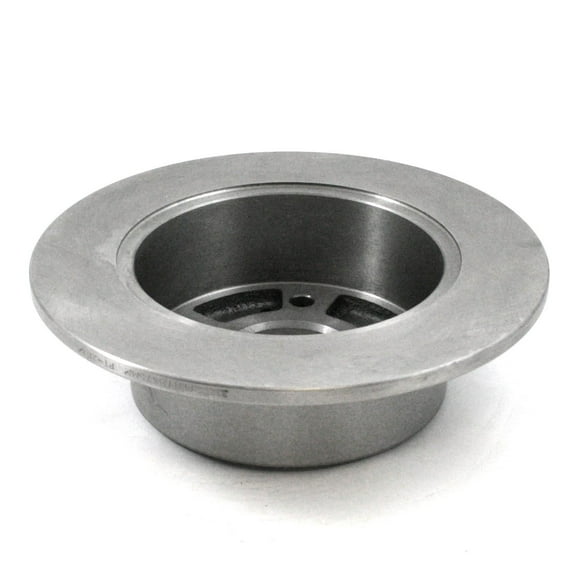 DuraGo Disc Brake Rotor BR31202