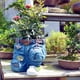 thumbnail image 5 of Lindos Maceteros para Plantas de Interior y Exterior, Maceta Decorativa Pequeña para Suculentas, Macetero de Cactus de Resina,B, 5 of 5