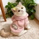 thumbnail image 5 of Sudadera con capucha y orejas de conejo de invierno para mascotas, ropa cálida con forro polar para perros, ropa de poliéster para mascotas., 5 of 6