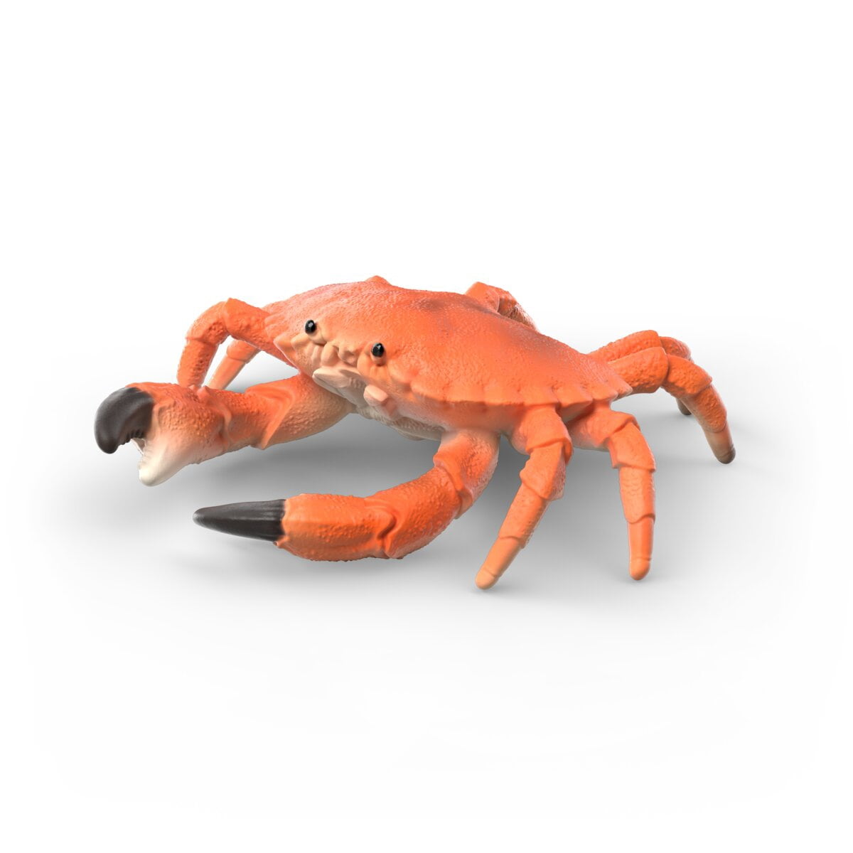 schleich Wild Life - 4 PC Sea Animals Discovery Set with Starfish, Clownfish, Seahorse and Crab Toys for Kids Ages 3+