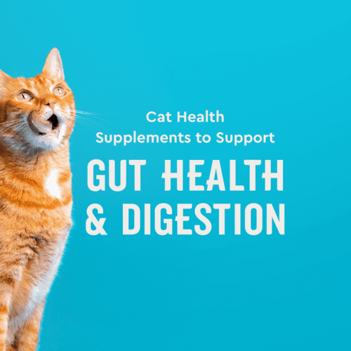 Vet IQ Probiotic Health Supplement for Cats, Chicken Flavored Crunchy Chews, Approx. 30 Day Supply