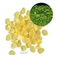 thumbnail image 2 of Nkmbld 100Pcs Glow in The Dark Rocks Outdoor, Resin Decorative Pebbles Aquarium Rocks for Landscaping Walkway Pathway Backyard Fish Tank Plant, 2 of 8