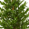 thumbnail image 2 of Nearly Natural 3.5' Olive Cone Artificial Topiary in Planter UV Resistant, 2 of 3