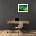 thumbnail image 3 of Hammer, Jacqueline 32x25 White Modern Wood Framed Museum Art Print Titled - Shades Of Green, 3 of 4