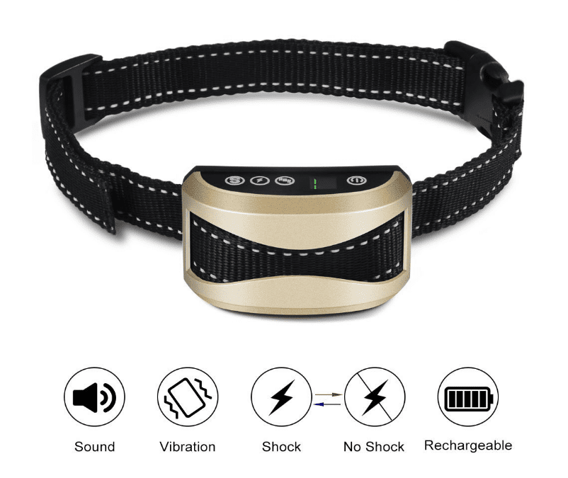 training dog with vibration collar