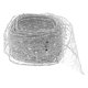thumbnail image 4 of rollo de cinta de malla brillante con alambre para envolver regalos, coronas, manualidades y decoraciones navideñas., 4 of 7
