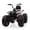 White, variant on 24V Kids ATV 4 Wheeler – 2 Seater Ride On Toy with 800W Motor, 4x4, Battery Powered, Lights, Spring Suspension – for Boys & Girls