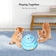 thumbnail image 4 of Juego de 14 piezas de juguetes interactivos para gatos, incluye 3, 4 of 7