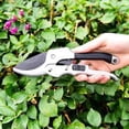 thumbnail image 1 of HLONK SK5 High Quality Special Steel Rough Pruning Garden Tools Pruning Scissors Gardening Fruit Tree Pruning Scissors Silver, 1 of 1