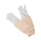 thumbnail image 5 of 2 guantes de apicultura, suministros de apicultura, piel de cabra, herramientas de apicultura, antipinchazos. XL, 5 of 9