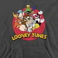 thumbnail image 2 of Looney Tunes Smaller Group Unisex Adult Pull-Over Heather Hoodie, X-Large, Charcoal, 2 of 4