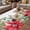 white, variant on Christmas Poinsettia Outdoor Rug for Patio/Deck/Porch, Non-Slip Large Area Rug 5 x 7 Ft, Xmas Birds Berries Eucalyptus Botanical Indoor Outdoor Rugs Washable Area Rugs, Camping Rug Carpet Runner
