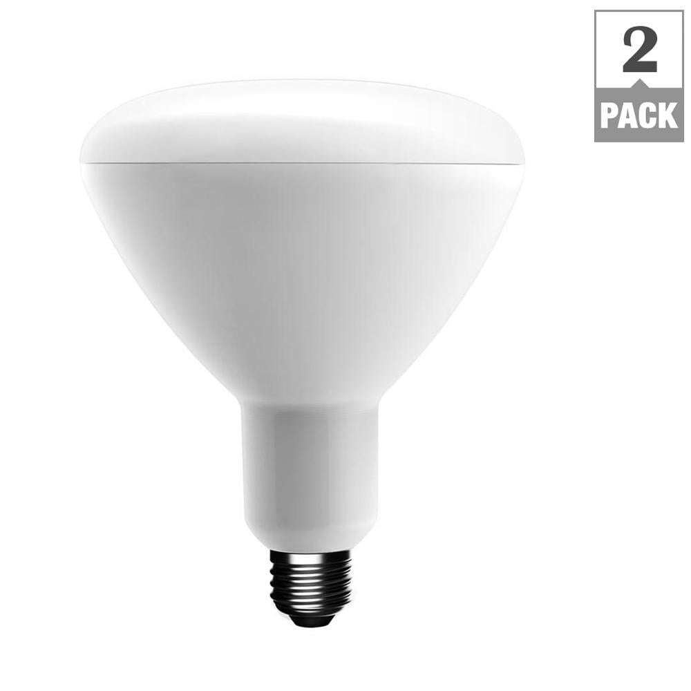 EcoSmart Dimmable Indoor LED Light Bulb 75W Equivalent, BR40 Energy ...