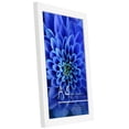 thumbnail image 6 of Americanflat 8.5x11.7 Poster Frame with Shatter-Resistant Glass ideal displaying pictures sized inches - White, 6 of 8