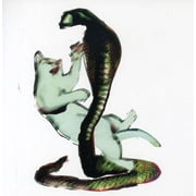Les Savy Fav - Cat and The Cobra - Alternative - CD