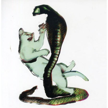 Les Savy Fav - Cat and The Cobra - Alternative - CD