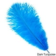 thumbnail image 5 of Zucker Feather Products Ostrich Feathers - Drabs Selected - 13 - 16" - Natural, 5 of 5