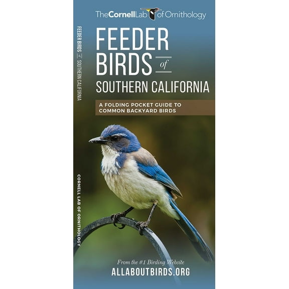 All about Birds Feeder Birds of Southern California, (Paperback)