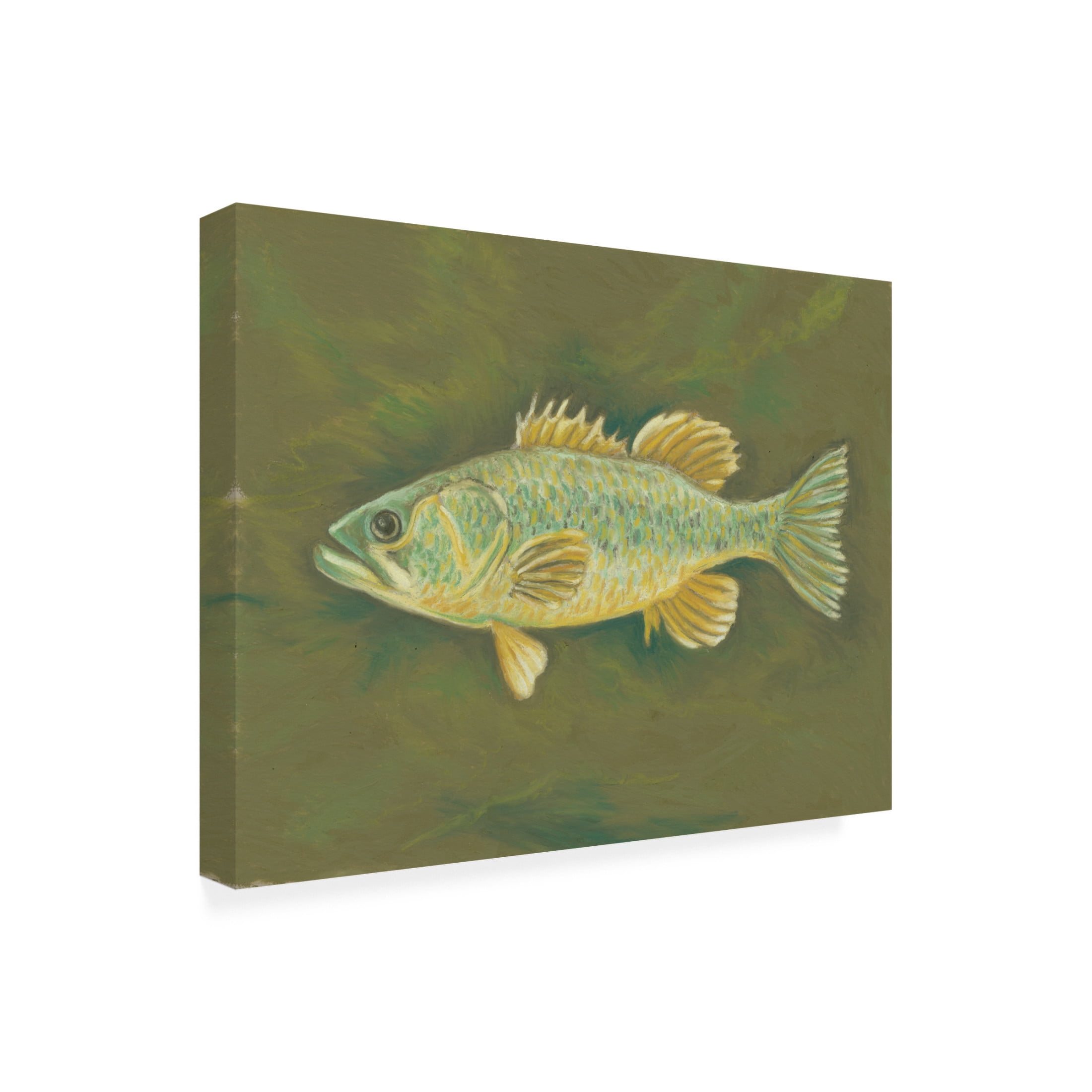 Canvas Wall Art - Andrea Strongwater 'Fish 1' Wall Art for Living Room, Bedroom, or Office Décor by Trademark Fine Art - 47 x 35 Inches