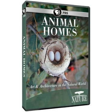 Nature: Animal Homes (DVD), PBS (Direct), Special Interests
