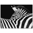 thumbnail image 3 of Van Swearingen, Debra 14x12 Black Modern Framed Museum Art Print Titled - Zebra III, 3 of 5
