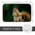thumbnail image 2 of Susaid Squirrels Eating Peanuts On The Tree Print Doormat,Porch Decor,Housewarming Decor Gift Doormat,Funny Flannel Floor Mat,Funny Doormat 24x16 Inch, 2 of 7