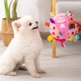 thumbnail image 4 of Interactive Dog Ball Toy for Bonding and Entertainment, Improved Teeth Health, Wide Application, Boredom Relief with Sound Inside and Suitable for Home Outdoor, 4 of 7