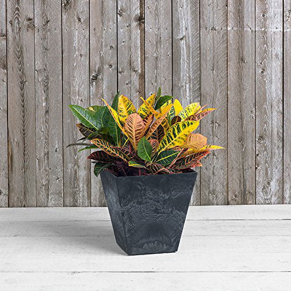 Root & Vessel Ella Square Planters, Black, 14"