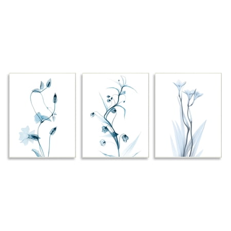 Stupell Industries Aesthetic Minimalist Blue Botanical Floral Design Photography Unframed Art Print Wall Art Set of 3 13x19 by Albert Koetsier