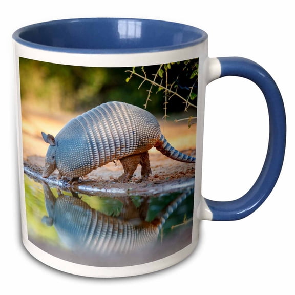 3drose, Nine-banded Armadillo, Dasypus Novemcinctus, Drinking, 15oz Two-tone Blue Mug