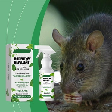 Clearance 5 Oz Peppermint Oil Insect & Pest Spray - for Spiders, Ants, and More 5PCS