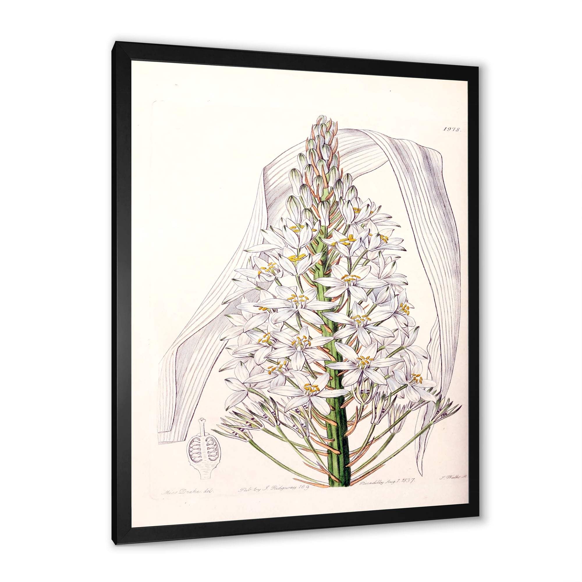 Designart 'White Vintage Orchid I' Traditional Framed Art Print