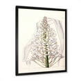 thumbnail image 2 of Designart 'White Vintage Orchid I' Traditional Framed Art Print, 2 of 4