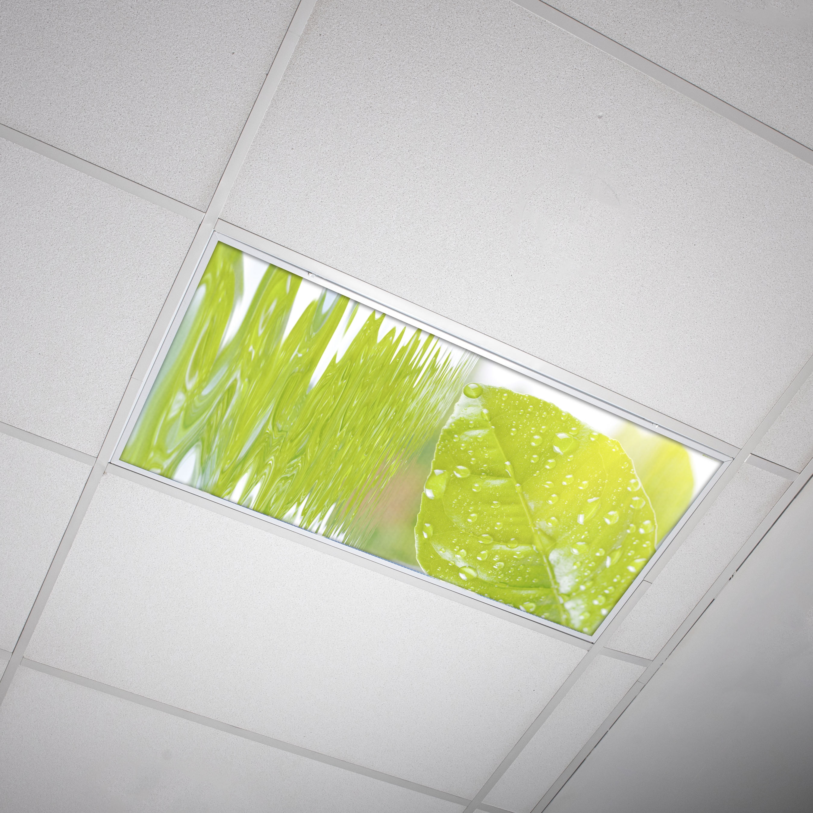 Octo Lights Fluorescent Light Covers 2x4 Flexible Decorative Light Diffuser Panels Tree