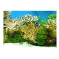 thumbnail image 2 of Fondo de Acuario 3D Yuyangstore Paisaje de Pecera Hierba, 2 of 8