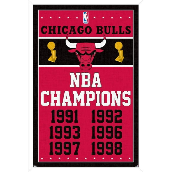 NBA Chicago Bulls - Champions 13