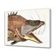 thumbnail image 1 of Póster de lienzo con pintura de peces, decoración de dormitorio, paisaje deportivo, decoración de oficina, regalo, estilo marco, 20 x 30 cm, 1 of 8