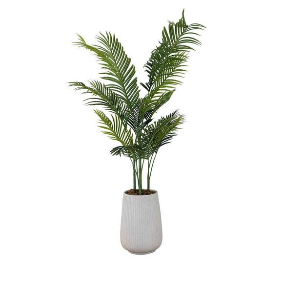 Palmier Areca en pot