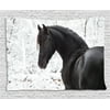 Equestrian Decor Tapestry, Black Friesian Sport Horse Portrait on Snowy Winter Background Novelty Picture, Wall Hanging for Bedroom Living Room Dorm Decor, 80W X 60L Inches, White, by Ambesonne