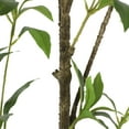 thumbnail image 4 of GDF Studio Purling Artificial Pieris Tree, 4' x 1.5', 4 of 10