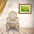 thumbnail image 3 of Horton, Janet 24x17 Gold Ornate Wood Framed with Double Matting Museum Art Print Titled - Issaquah-Washington State-USA Close-up of hops cones, 3 of 4