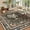 Brown, variant on Nanan 8'x10' Machine Washable Area Rug Vintage Tiger Floral Print Low Pile Indoor Floor Carpet for Living Room Bedroom Entryway,Green