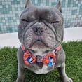 thumbnail image 5 of The Bloo Club Bowdanas, Dog Bow Ties & Bandanas, 100% Made in The US, a melding of Comfort & Style, Donate with Each Sale to Local Animal Shelters (Club Executive Shark Pet, Medium), 5 of 7