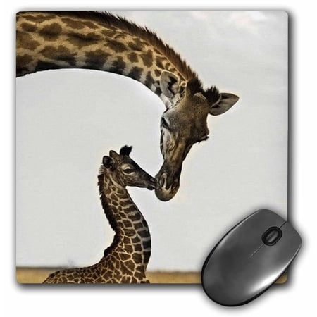 3dRose  giraffe mama and baby  MousePad price history on PriceWatchPro