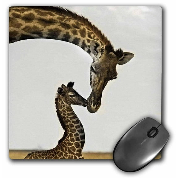 3dRose, giraffe mama and baby, MousePad